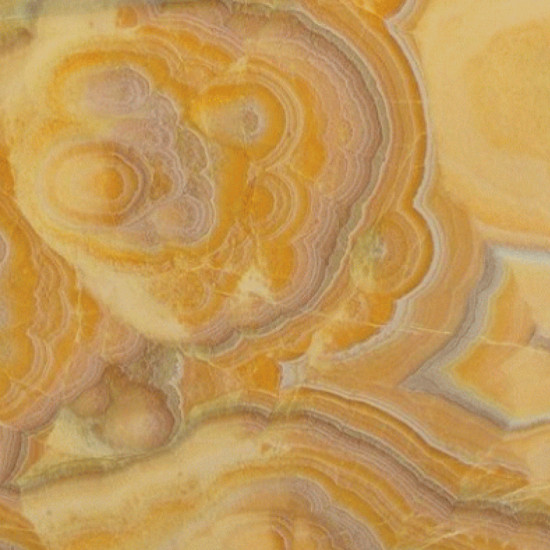 Onyx TROPICAL