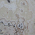 Onyx WHITE FLORENCE