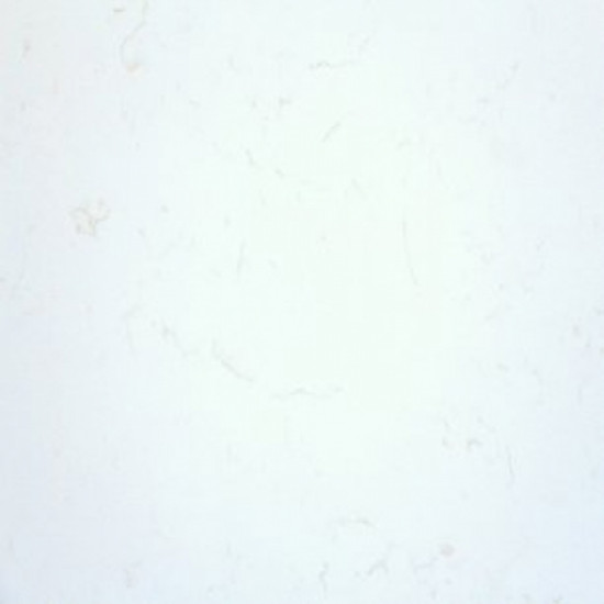 Кварцевый агломерат Namibia White GT8155 Still Stone