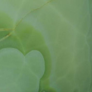 Onyx  JADE GREEN
