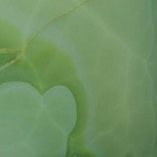Onyx  JADE GREEN